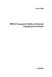 Diplomdarbs 'MPLS transporta profils ar Ethernet pakalpojuma atbalstu', 4.