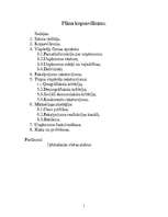 Biznesa plāns 'Šūšanas firma "Zinger"', 1.