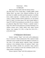 Biznesa plāns 'Šūšanas firma "Zinger"', 6.