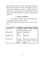 Biznesa plāns 'Šūšanas firma "Zinger"', 13.