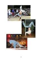 Referāts 'Breakdance un grafiti', 30.