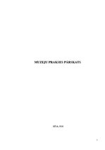 Prakses atskaite 'Muzeju prakses pārskats', 1.