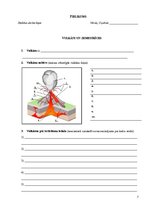 Prakses atskaite 'Muzeju prakses pārskats', 7.