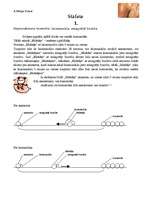 Konspekts '9.klases sporta ieskaite. Stafete', 1.