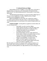 Referāts 'Livonijas sabrukums un tiesību normas Kurzemes - Zemgales hercogistē un Inflanti', 11.