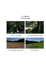 Referāts 'Atpūtas iespējas Siguldas ūdenstilpņu tuvumā', 39.