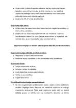 Prakses atskaite 'Prakses atskaite', 17.