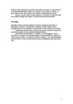 Konspekts 'Mūzikas pirmsākumi', 2.