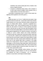 Referāts 'Latvijas derīgie izrakteņi un ar tiem saistītā rūpniecība', 4.