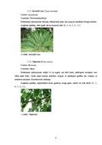 Referāts 'Temperatūras un gaisa relatīvā mitruma monitorings subtropu augiem', 9.