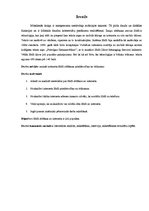 Referāts 'Īsziņu sūtīšana no interneta', 3.