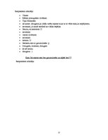 Referāts 'Īsziņu sūtīšana no interneta', 10.