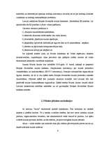 Referāts 'Muita', 7.