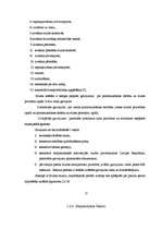 Referāts 'Muita', 15.