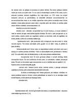 Referāts 'Muita', 18.