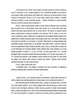 Referāts 'Muita', 25.