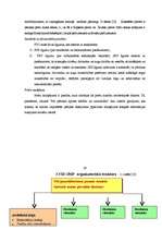 Referāts 'Muita', 26.