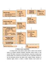 Referāts 'Muita', 27.