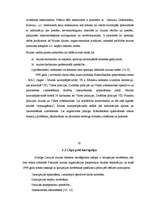 Referāts 'Muita', 30.