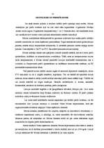 Referāts 'Muita', 40.