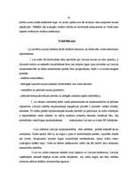 Referāts 'Muita', 41.