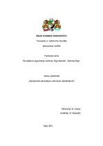 Paraugs 'Pārvadājumu organizācija maršrutā "Rīga-Madride", "Madride-Rīga"', 1.