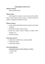 Prakses atskaite 'Bērna psiholoģiskās izpētes prakse', 4.