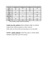 Prakses atskaite 'Bērna psiholoģiskās izpētes prakse', 14.