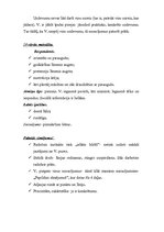 Prakses atskaite 'Bērna psiholoģiskās izpētes prakse', 17.