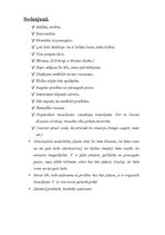 Prakses atskaite 'Bērna psiholoģiskās izpētes prakse', 18.