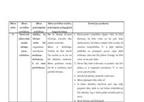 Prakses atskaite 'Bērna psiholoģiskās izpētes prakse', 22.