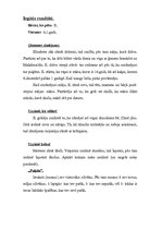 Prakses atskaite 'Bērna psiholoģiskās izpētes prakse', 26.