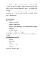 Prakses atskaite 'Bērna psiholoģiskās izpētes prakse', 31.