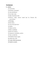 Prakses atskaite 'Bērna psiholoģiskās izpētes prakse', 33.