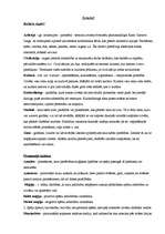 Konspekts 'Termini kultūras vēsturē', 1.