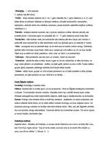 Konspekts 'Termini kultūras vēsturē', 2.