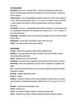 Konspekts 'Termini kultūras vēsturē', 4.