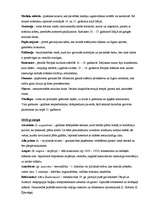 Konspekts 'Termini kultūras vēsturē', 10.