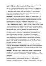 Konspekts 'Termini kultūras vēsturē', 11.