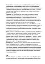 Konspekts 'Termini kultūras vēsturē', 13.