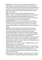 Konspekts 'Termini kultūras vēsturē', 15.