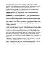 Konspekts 'Termini kultūras vēsturē', 16.