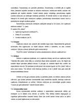 Referāts 'Uzņēmums un nodokļi', 17.