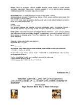 Referāts 'Uzņēmums un nodokļi', 28.