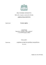 Paraugs 'Loģistikas noliktavas sistēmu projektēšana', 1.