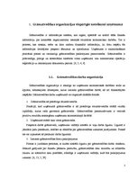 Prakses atskaite 'Grāmatvedības un iekšējā audita problēmu izpēte', 3.