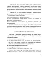 Prakses atskaite 'Grāmatvedības un iekšējā audita problēmu izpēte', 4.