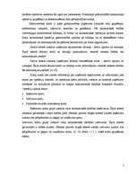 Prakses atskaite 'Grāmatvedības un iekšējā audita problēmu izpēte', 5.