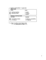 Prakses atskaite 'Grāmatvedības un iekšējā audita problēmu izpēte', 6.