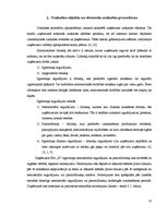 Prakses atskaite 'Grāmatvedības un iekšējā audita problēmu izpēte', 13.